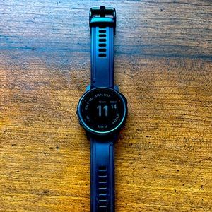 Garmin Fenix 6S Pro